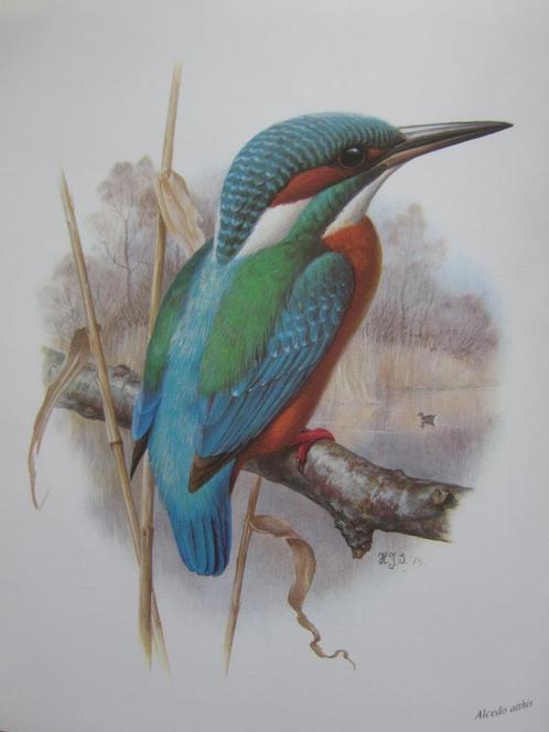 borduren borduurpatroon patronen PERMIN ijsvogels, Hobby en Vrije tijd, Borduren en Borduurmachines, Zo goed als nieuw, Patroon