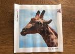 DP Giraffe R.S. Size:30x30cm 9 Kleuren, Ophalen of Verzenden, Nieuw