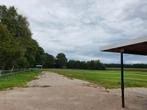 Paarden stallen, Dieren en Toebehoren, Stalling en Weidegang, Weidegang