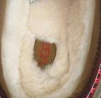 Nieuwe UGG boots mt 40, Ophalen of Verzenden