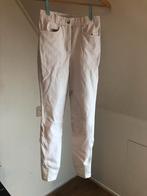 Epplejeck Witte Rijbroek Mt 36 S Wit Paardrijbroek Wedstrijd, Dieren en Toebehoren, Paardrijkleding, Ophalen of Verzenden, Dames
