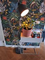 Stalamp te koop, Huis en Inrichting, Lampen | Vloerlampen, Ophalen, Zo goed als nieuw
