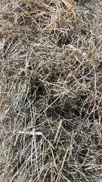 Grote balen/pakken mooi hooi, Ophalen, Vee