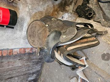 Verschillende zadels  beschikbaar voor biedingen