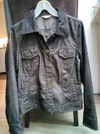 Miss Etam Jasje Maat 42 Bruin, Bruin, Maat 42/44 (L), Ophalen of Verzenden, Zo goed als nieuw