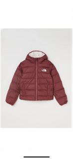Nieuwe jas The North face mt 146, Ophalen of Verzenden