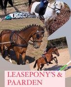 Bijrijd ponys en paarden (daglease) eemnes, Dieren en Toebehoren, Ophalen of Verzenden, Nieuw