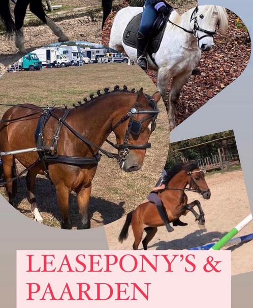 Bijrijd ponys en paarden (daglease) eemnes, Dieren en Toebehoren, Paarden en Pony's | Verzorgingsproducten, Nieuw, Ophalen of Verzenden