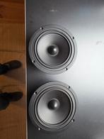 Tang Band W5-704D Speakers - Nieuw!, Ophalen, Nieuw, Overige typen, Overige merken