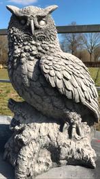 ‼️Eule 56cm 50kg UHU Kerkuil Kautz Sneeuwuil Roofvogel‼️, Ophalen, Nieuw, Beton, Dierenbeeld