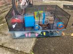 Hamsterkooi met extra’s, Kooi, Minder dan 75 cm, Zo goed als nieuw, Ophalen