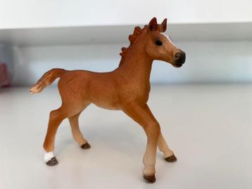 Schleich Engels Volbloed veulen 42361 beschikbaar voor biedingen
