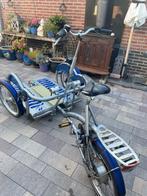 Van Raam rolstoelfiets., Ophalen of Verzenden, Gebruikt