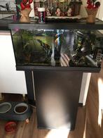 Mooie zwarte aquarium met onderkast, Dieren en Toebehoren, Ophalen, Zo goed als nieuw, Leeg aquarium