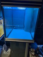 Kweekbak, Ophalen, Zo goed als nieuw, Leeg aquarium