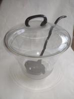 oude transparant gematteerde gegraveerde bowlset / Copier ?, Antiek en Kunst, Antiek | Glas en Kristal, Ophalen