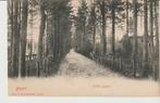 Baarn Witte Laan, Verzenden, Voor 1920, Gelopen, Utrecht