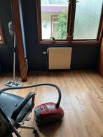 Te koop roestkop caiques plus kooi, Dieren en Toebehoren, Vrouwelijk, Papegaai, Tam