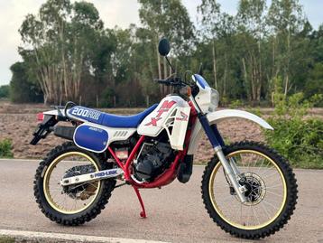 Honda MTXR2/MD07   ( Bj 1985 )  beschikbaar voor biedingen