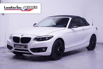 BMW 2-serie Cabrio 218d Sportline Navi Sportstoelen Clima Cr beschikbaar voor biedingen