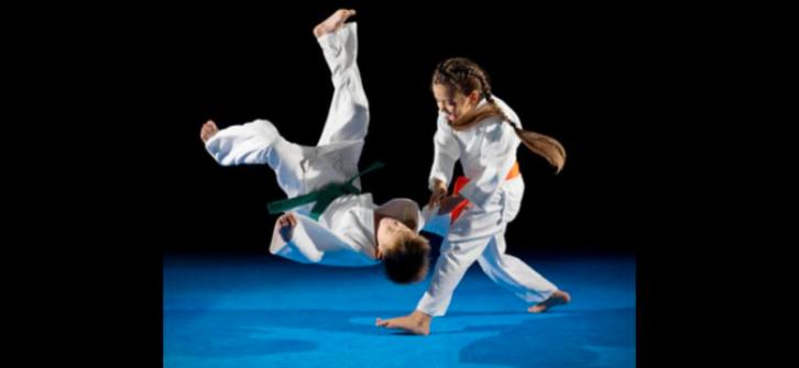 Gratis judoles Roelofarendsveen, Sport en Fitness, Overige Sport en Fitness, Zo goed als nieuw, Ophalen of Verzenden