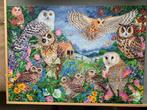 Falcon puzzel 1000 stukjes, Ophalen, 500 t/m 1500 stukjes, Gebruikt, Legpuzzel