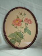 ovale houten lijst met rozenplaat of kunstdruk, Huis en Inrichting, Woonaccessoires | Lijsten, Minder dan 50 cm, Gebruikt, Ophalen of Verzenden