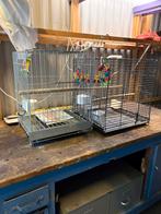 Transport kooi, Ophalen of Verzenden, Gebruikt, Metaal, Vogelkooi