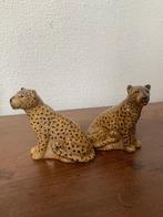 Quail Leopard Peper Zout salt and pepper, Huis en Inrichting, Ophalen, Zo goed als nieuw