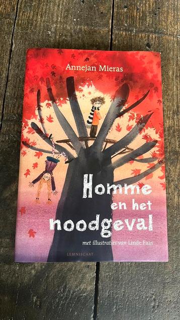 Homme en het noodgeval - Annejan Mieras beschikbaar voor biedingen