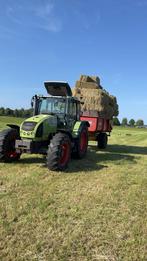 Hooibaaltjes te koop, Dieren en Toebehoren, Ophalen, Vee