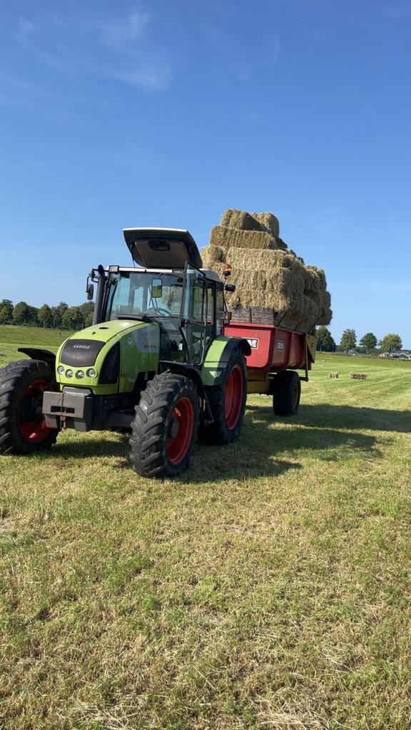 Hooibaaltjes te koop, Dieren en Toebehoren, Dierenvoeding, Vee, Ophalen