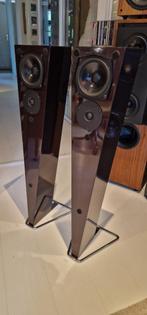 DUSON 2202 spekaers high fidelity gelakt paars, Zo goed als nieuw, Minder dan 60 watt, Front, Rear of Stereo speakers, Ophalen