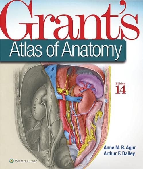 PDF/Ebook: Grant's Atlas of Anatomy, Boeken, Studieboeken en Cursussen, Nieuw, WO, Beta, Verzenden