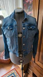 Leuk spijkerjasje met borduursel op achterzijde., Ophalen of Verzenden, Zo goed als nieuw, Maat 38/40 (M), Blauw