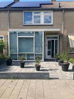 3 paar prachtige jonge Hulsten zoeken een nieuwe plek!, Tuin en Terras, Ophalen, Hulst, Struik, Minder dan 100 cm
