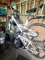 Mercedes Comfort fitness bikes (2stuks)., Ophalen, Minder dan 10 versnellingen, 26 inch, 53 tot 56 cm