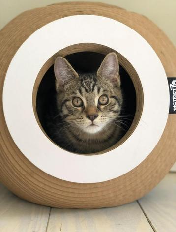 District70 kartonnen kattenmand/krabmeubel beschikbaar voor biedingen