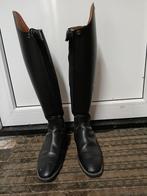Extra wijde Petrie rijlaarzen maat 42, Dieren en Toebehoren, Paardrijkleding, Ophalen of Verzenden, Zo goed als nieuw, Dressuur
