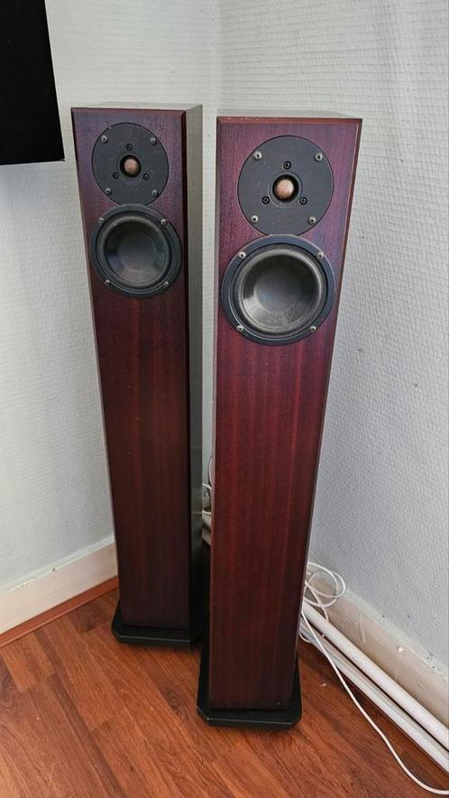 Totem arro Mahony hout, Audio, Tv en Foto, Luidsprekers, Zo goed als nieuw, Front, Rear of Stereo speakers, Overige merken, Ophalen