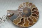 Ammoniet fossiel hanger aan ketting, Verzamelen, Mineralen en Fossielen, Verzenden, Fossiel