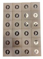 Niue serie 1 dollar 2015 zilver 24 stuks, Ophalen of Verzenden, Setje, Zilver