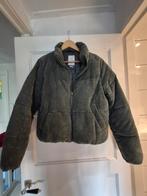 Groene Corduroy meiden Jas - Maat M/ blauwe ribjas gevoerd, Kleding | Dames, Ophalen of Verzenden, Zo goed als nieuw, Maat 38/40 (M)