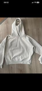 Sweater, Ophalen of Verzenden, Zo goed als nieuw, Maat 38/40 (M)