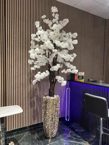 Luxe schelpenvazen met bloesemboom beschikbaar voor biedingen