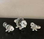 Swarovski Bever familie, Verzamelen, Swarovski, Ophalen of Verzenden, Zo goed als nieuw, Figuurtje