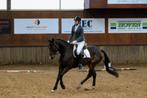 Bijrijdpaard gezocht, Dieren en Toebehoren, Paarden en Pony's | Verzorgingsproducten, Ophalen of Verzenden