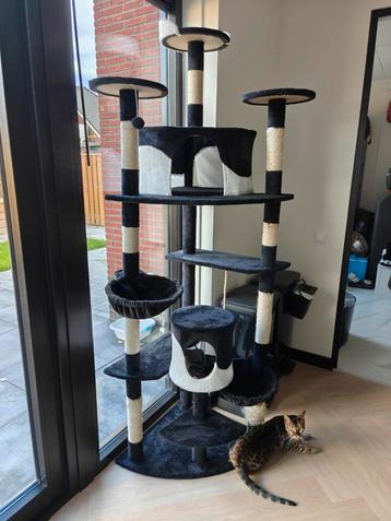 🔴XXL Krabpaal 206 cm | Geweldig om te spelen, slapen 🐱🔴 beschikbaar voor biedingen