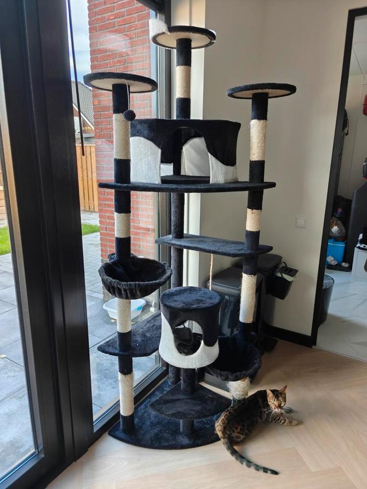 🔴XXL Krabpaal 206 cm | Geweldig om te spelen, slapen 🐱🔴, Dieren en Toebehoren, Krabmeubelen, Zo goed als nieuw, Krabpaal, Ophalen