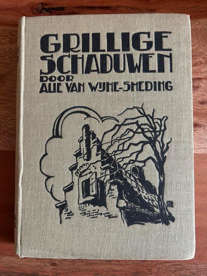 Enkhuizen - Grillige schaduwen - door Alie van Wijhe-Smeding, Boeken, Geschiedenis | Stad en Regio, Zo goed als nieuw, Ophalen of Verzenden